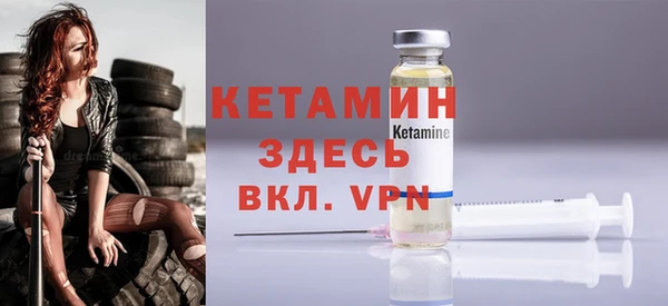индика Заводоуковск