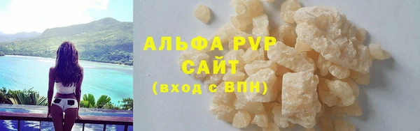 индика Заводоуковск