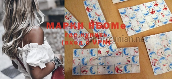 индика Заводоуковск