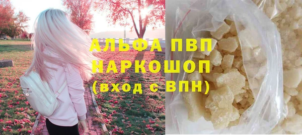 индика Заводоуковск