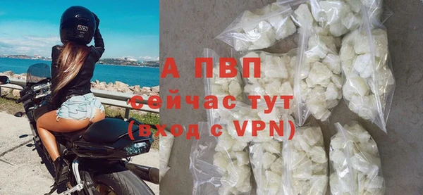 индика Заводоуковск