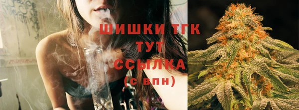 индика Заводоуковск