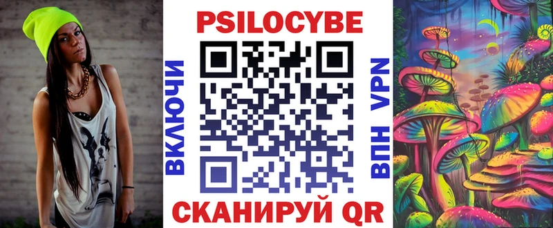 Купить  Дубовка  Галлюциногенные грибы Cubensis 